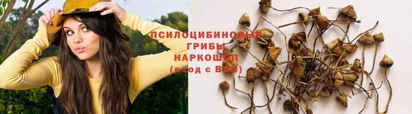 прущие крисы Абдулино
