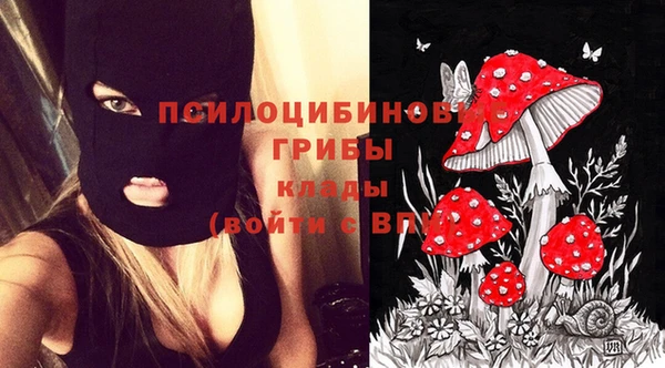 марки lsd Касимов