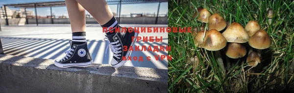 амф Абинск