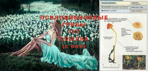 прущие крисы Абдулино