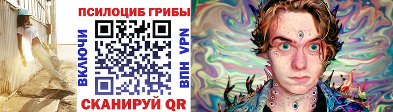 наркота Советский Галлюциногенные грибы Psilocybe