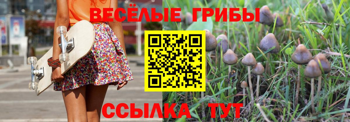 Галлюциногенные грибы Psilocybe Советский