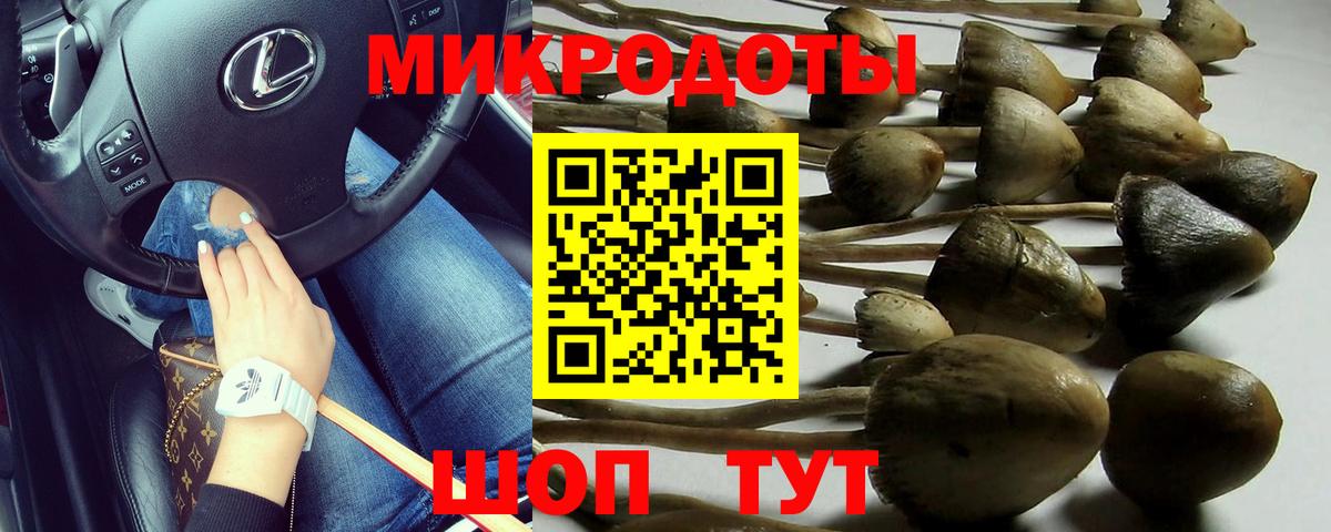 Советский  Псилоцибиновые грибы мицелий  Вход с VPN  Псилоцибиновые грибы мицелий 