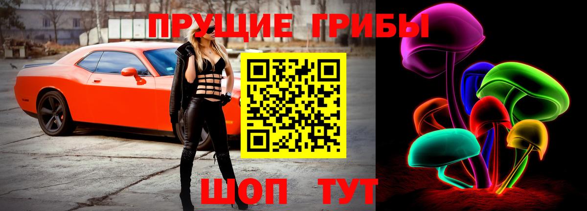Псилоцибиновые грибы Psilocybine cubensis  Вход с VPN  Советский  Псилоцибиновые грибы мицелий 